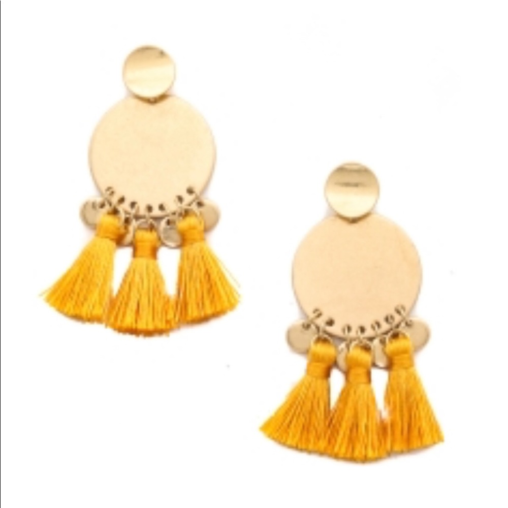 Gorgeous tassel earrings